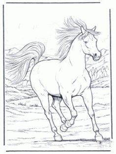 a drawing of a horse running in the field with long hair blowing in the wind