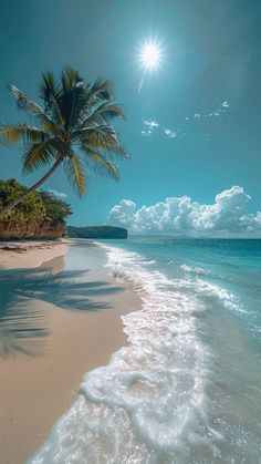 the sun shines brightly over an ocean beach with palm trees and waves on it