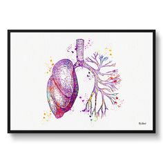 a watercolor drawing of the lungs and its branches on a white background with black border