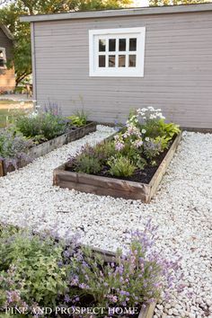 an outdoor garden area with gravel and flowers