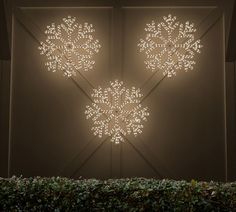 two snowflakes are lit up on the wall