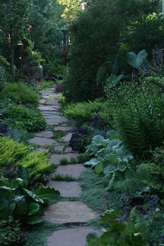 a stone path in the middle of a garden with lots of green plants and flowers