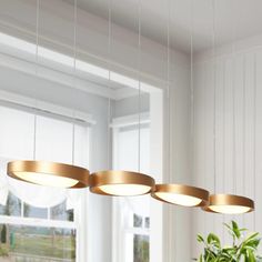 three circular lights hanging from a ceiling in a dining room with potted plant on the table