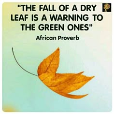 an orange leaf floating in the air with a quote above it that reads, the fall of a dry leaf is a warning to the green ones african prove