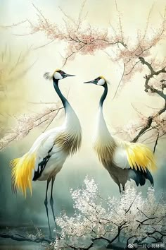 two birds standing next to each other in front of trees with blossoms on it and one bird has its wings spread