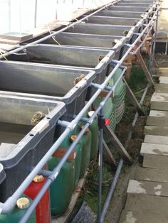 rows of green and red plastic barrels lined up on the side of a building with metal railings