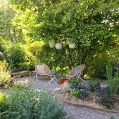 two lawn chairs sitting on top of a gravel ground next to trees and flowers in a garden