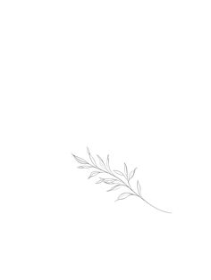 Fine Line Tattoos For Women Wrist, Sage Tattoo Simple, Small New Zealand Tattoo, Olive Fine Line Tattoo, Fineline Leaf Tattoo, Olive Vine Tattoos For Women, Fineline Vine Tattoos, Dainty Fineline Tattoos, Dainty Leaves Tattoo