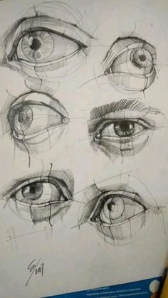 some drawings of different types of eyes