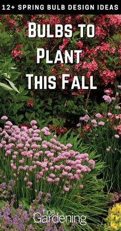 a garden with lots of flowers and plants in the background text reads, bulbs to plant this fall