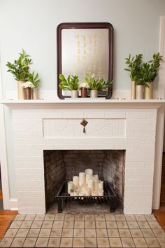 a living room with a fire place and potted plants on top of the fireplace