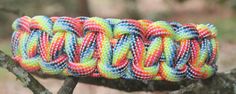 multicolored bracelets sitting on top of a tree branch in front of some trees