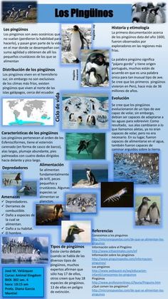 a poster with penguins and other animals on it's back cover, in spanish