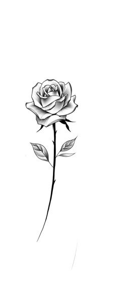 a black and white drawing of a rose