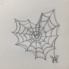 a drawing of a spider web on paper