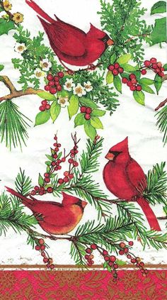 two red birds sitting on top of a tree branch with berries and pine cones around it