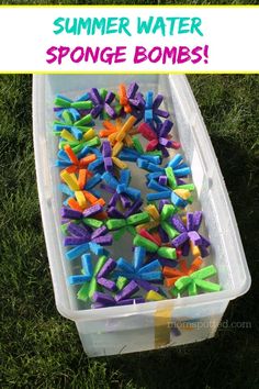 a plastic container filled with colorful sprinkles sitting on top of green grass