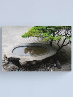 a small pond surrounded by rocks and trees in the middle of a garden canvas print