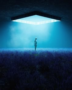 a person standing in the middle of a field under an open doorway with light coming from it