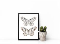 two butterflies are shown on a white wall next to a potted cacti