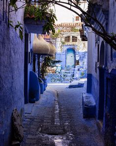 an alley way with blue buildings and trees