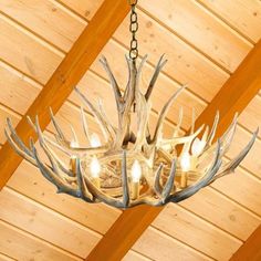 a chandelier with antlers hanging from the ceiling