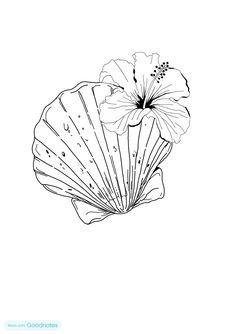 a flower that is in the shape of a seashell on a white background coloring page