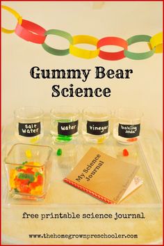 the gummy bear science kit is shown with four glasses and candy in front of it