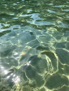 the water is so clear that you can see it's reflections on the surface