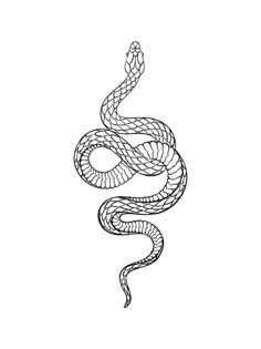 a black and white drawing of a snake with its tail curled up to the side