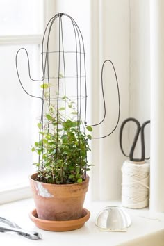 a potted plant sitting on top of a white counter next to scissors and yarn