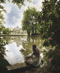 a woman is sitting on the bank of a lake surrounded by swans