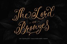 the lord of bronzes font and script