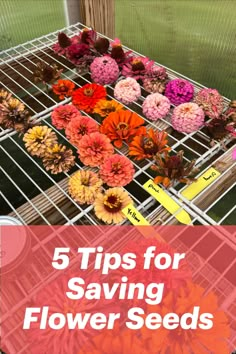 flowers on a rack with the words 5 tips for saving flower seeds