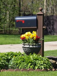 a mailbox with tulips and other flowers in it