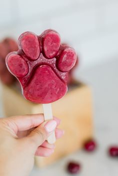 a hand holding a popsicle with a dog paw print on it and cranberries in the background