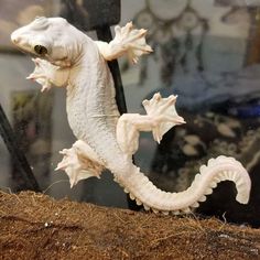 a white dragon statue sitting on top of a pile of dirt next to a window