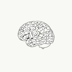 a black and white drawing of a brain