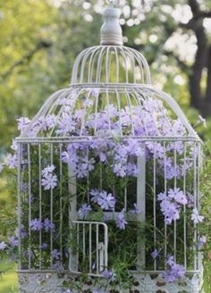 a birdcage filled with purple flowers sitting on top of a lush green field