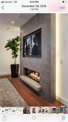 a fireplace with a tv mounted on the wall above it and a potted plant next to it