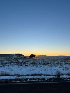 a horse standing in the middle of a field covered in snow at sunset or dawn