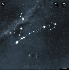 the zodiac sign pisces is shown on a night sky with stars in it