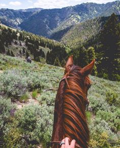 a person riding on the back of a brown horse down a lush green hill side