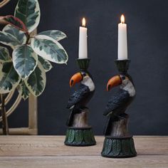 two candles that are sitting next to each other on top of a wooden table with a potted plant in the background