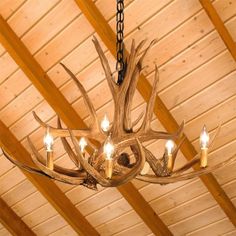 Mule Deer 6 Antler Chandelier Antler Light Fixtures, Rustic Ceiling Light Fixtures, Faux Antlers, Lodges Design, Deer Antler Chandelier, Contemporary Lodge, Antler Lights, Lodge Design, Antler Pendant