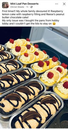 desserts in trays lined up on a counter with chocolate and raspberries