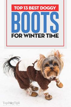 a small dog is dressed up in winter clothes with the title top 15 best doggy boots for winter time