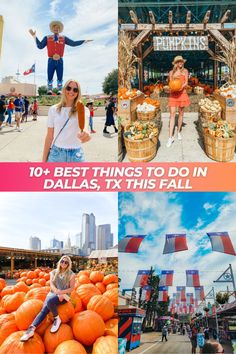 the best things to do in dallas, tx this fall