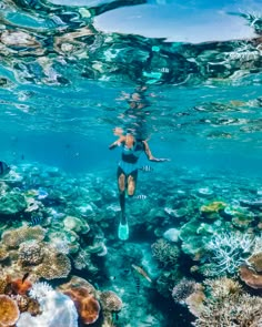 a woman is swimming in the ocean with corals