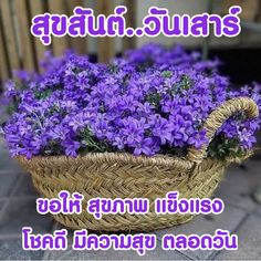 a basket filled with purple flowers sitting on top of a sidewalk